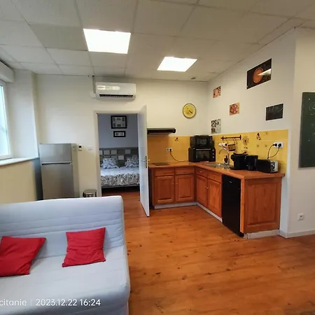 Ferienwohnung L'Ecole Buissonniere Laroque-dʼOlmes Exterior foto